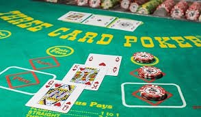 5bet55